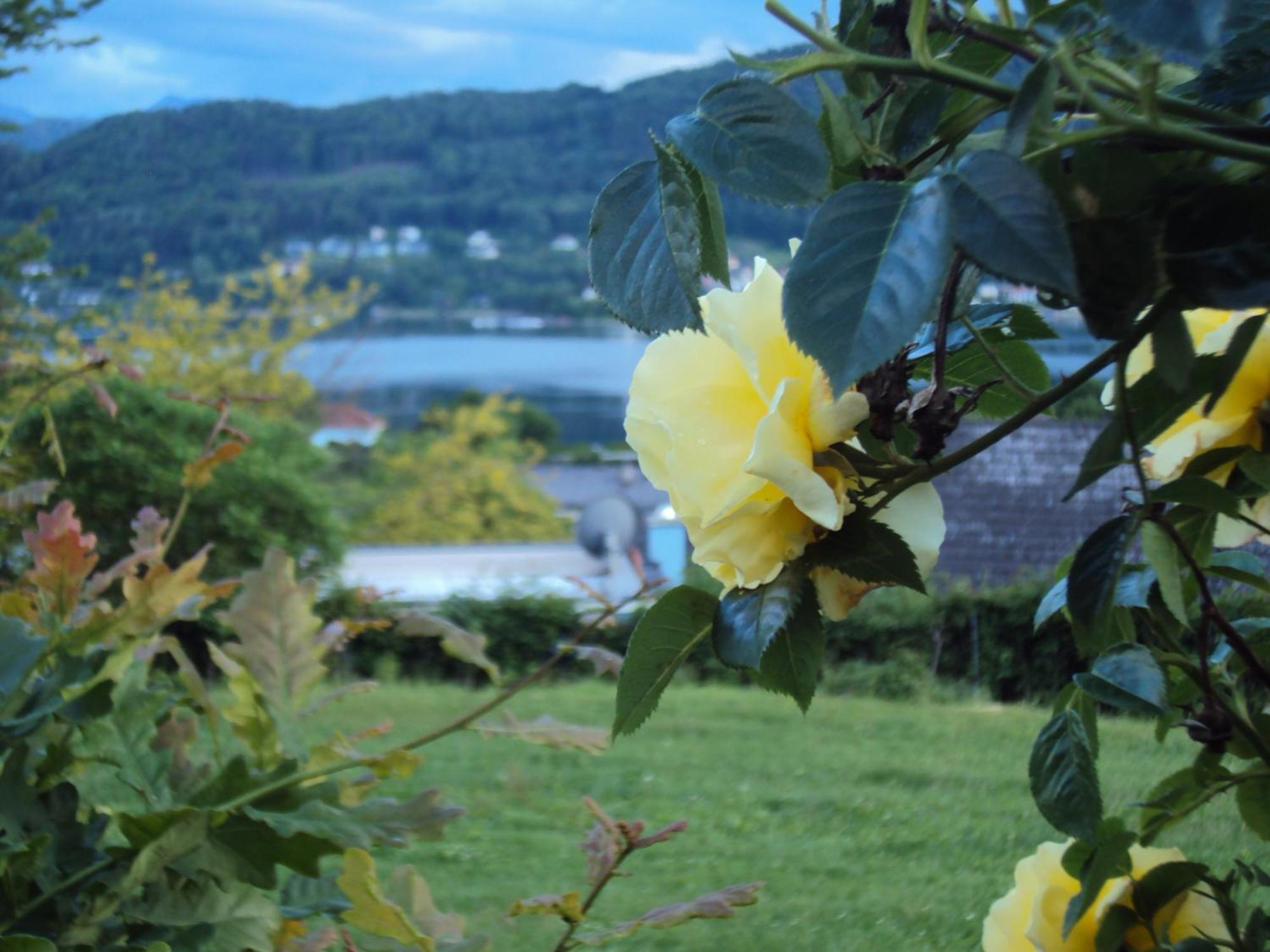 St. Oswalderhof Bed and Breakfast Pörtschach am Wörthersee Buitenkant foto
