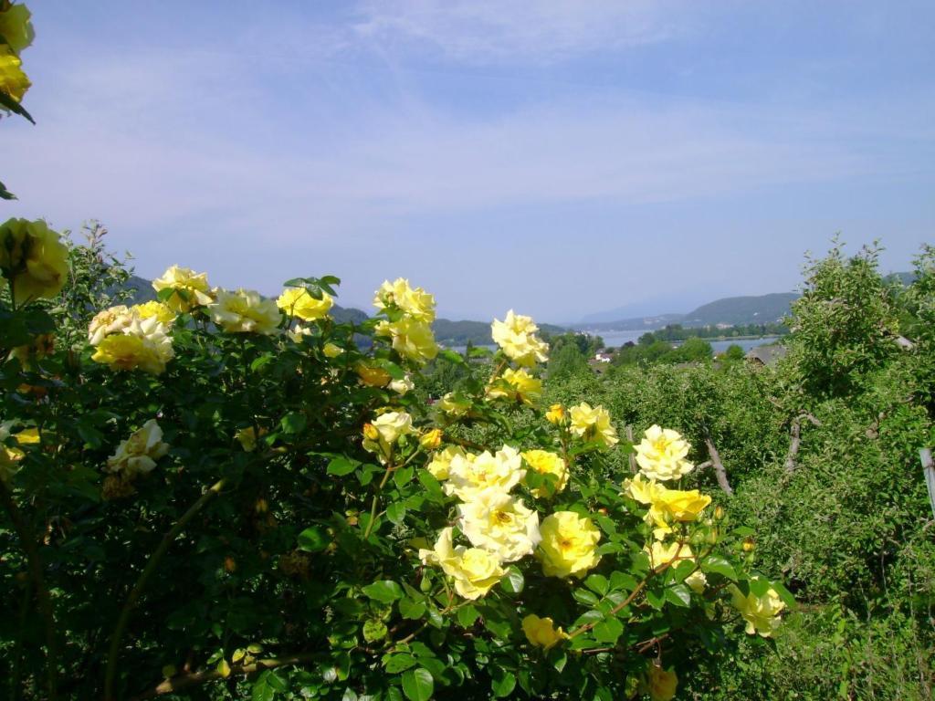 St. Oswalderhof Bed and Breakfast Pörtschach am Wörthersee Buitenkant foto